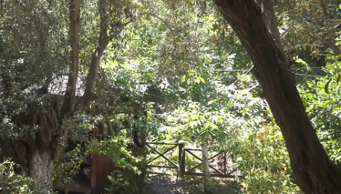 Rehber 224. Bölüm | ŞİRİNCE