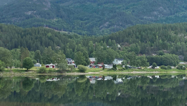 NORVEÇ - Oslo Foto Galeri