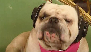 Sihirli Annem 65. Bölüm