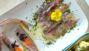 Vedat Milor'dan Kefal Ceviche değerlendirmesi