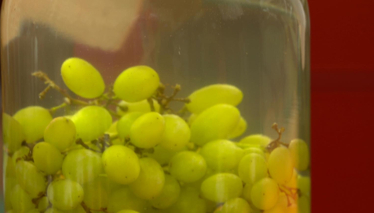 Üzüm Sirkesi Yapımı