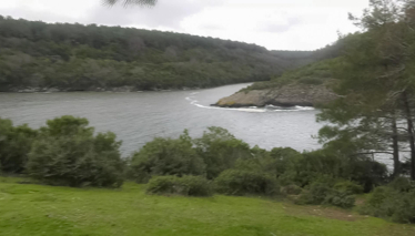 Rehber 264. Bölüm | SİNOP