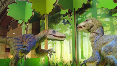 İNGİLTERE - Londra Müzeleri