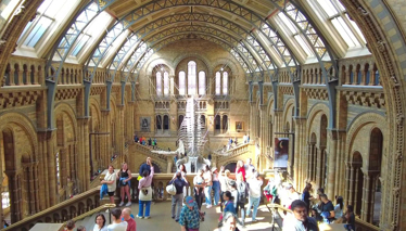 Londra'nın En Özel Müzelerinden 'Ulusal Tarih Müzesi'