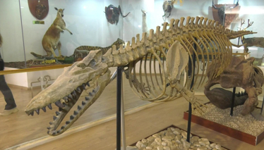 Rehber 312. Bölüm | GAZİANTEP & LEZZET TURU