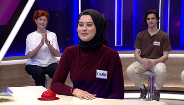 Duvarları kaplayıp süslemek için kullanılan levha