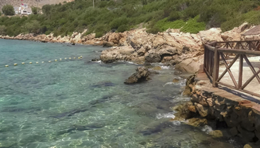 Rehber 330. Bölüm | BODRUM & DALYAN & MANİSA