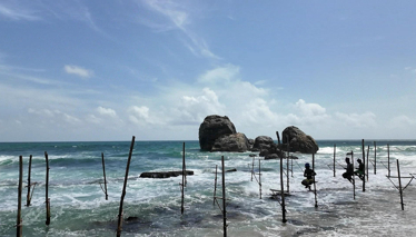 Sri Lanka - Safari Fragman