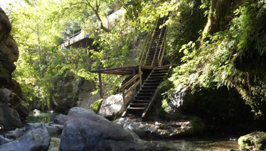 Rehber 343. Bölüm | OSMANİYE & LEZZET TURU