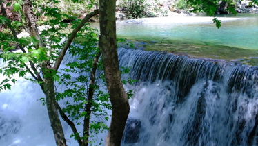 Rehber 372. Bölüm | ALANYA