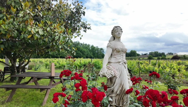 Çok Gezenti St.Emilion - Blaye Fragman