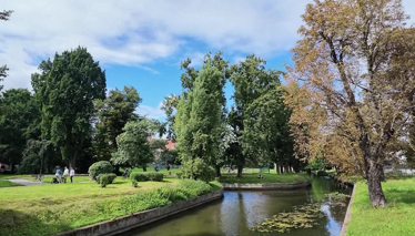 Çok Gezenti Gdansk Fragman