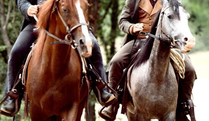 YAHŞİ BATI - Foto Galeri