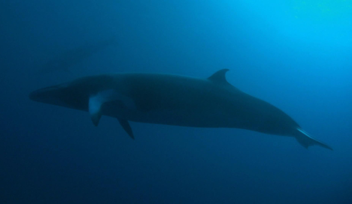 FARKLI VE HEYECANLI 18. BÖLÜM FOTO GALERİ 