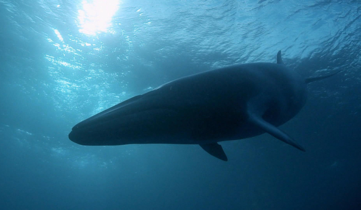 FARKLI VE HEYECANLI 18. BÖLÜM FOTO GALERİ 