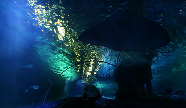 FARKLI VE HEYECANLI 18. BÖLÜM FOTO GALERİ 