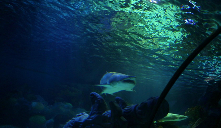 FARKLI VE HEYECANLI 18. BÖLÜM FOTO GALERİ 