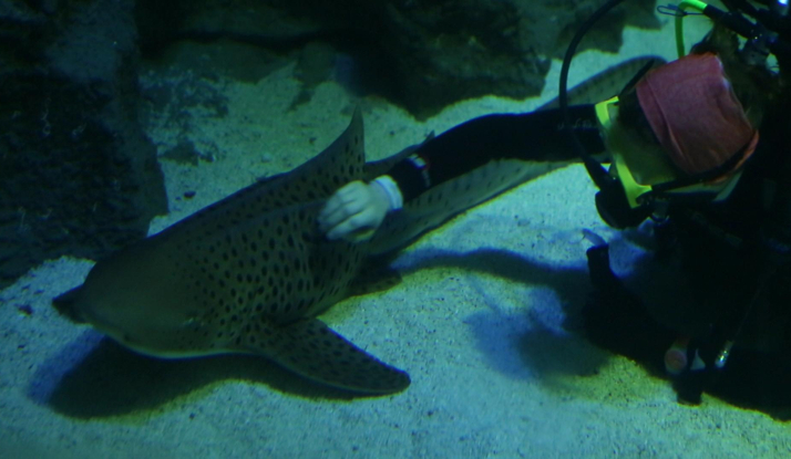 FARKLI VE HEYECANLI 18. BÖLÜM FOTO GALERİ 