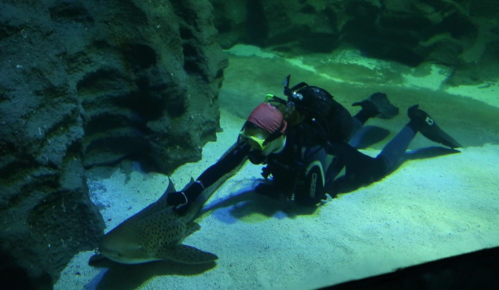 FARKLI VE HEYECANLI 18. BÖLÜM FOTO GALERİ 