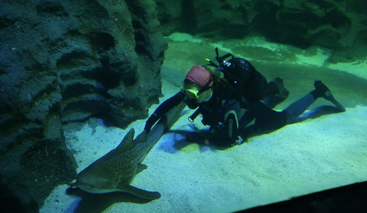 FARKLI VE HEYECANLI 18. BÖLÜM FOTO GALERİ 