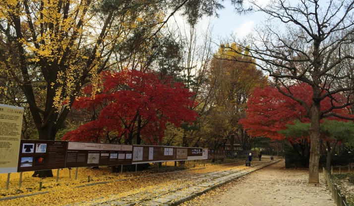 GÜNEY KORE - Seul Foto Galeri