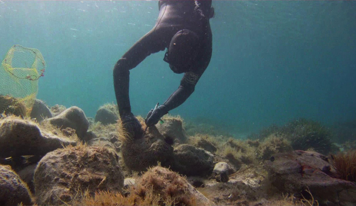 ŞEFİMİZ YOLDA FOTO GALERİ