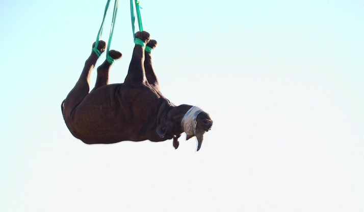  FARKLI VE HEYECANLI 26. BÖLÜM FOTO GALERİ 