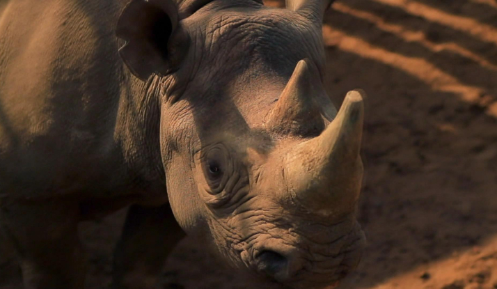  FARKLI VE HEYECANLI 26. BÖLÜM FOTO GALERİ 