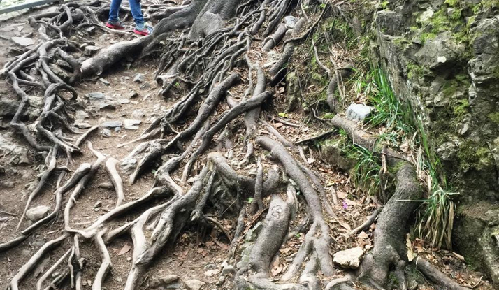 Bizim Ora: Trabzon Foto Galeri