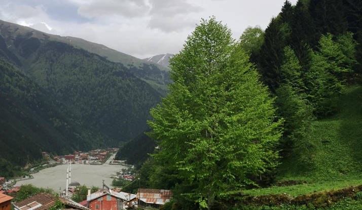 Bizim Ora: Trabzon Foto Galeri