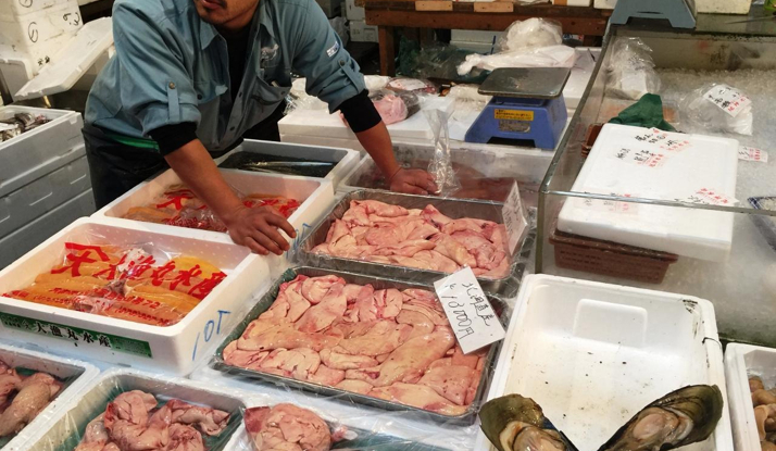 JAPONYA - Tokyo 2 Foto Galeri