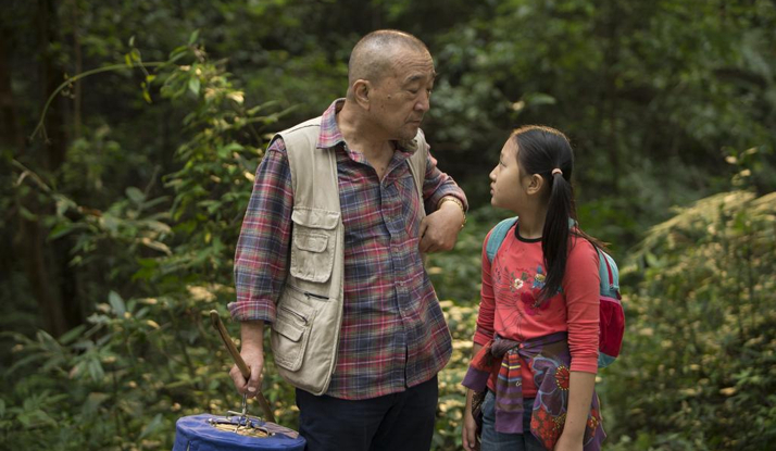 BÜLBÜL Foto Galeri