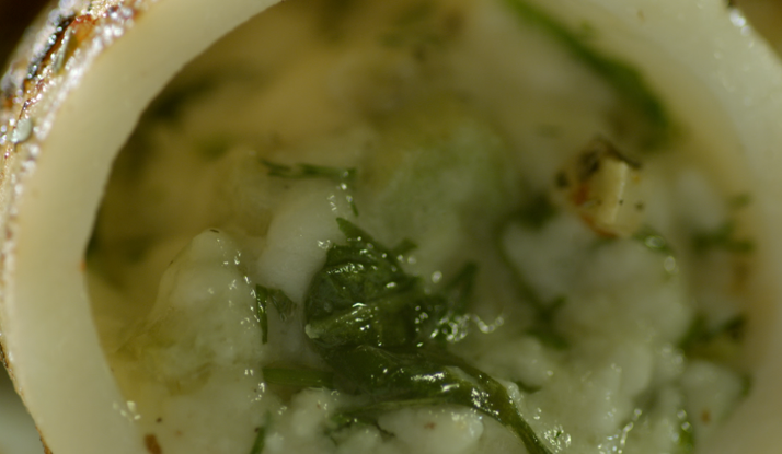 Otlu Kalamar Dolması