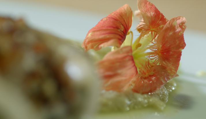 Otlu Kalamar Dolması