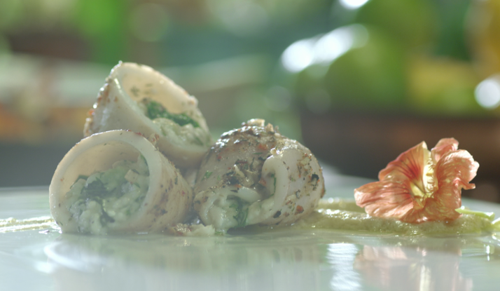 Otlu Kalamar Dolması