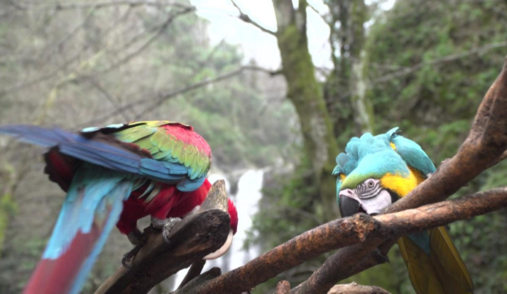 Rehber 3. Bölüm Foto Galeri