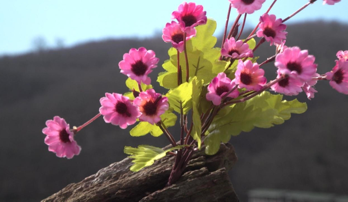 Rehber 4. Bölüm Foto Galeri