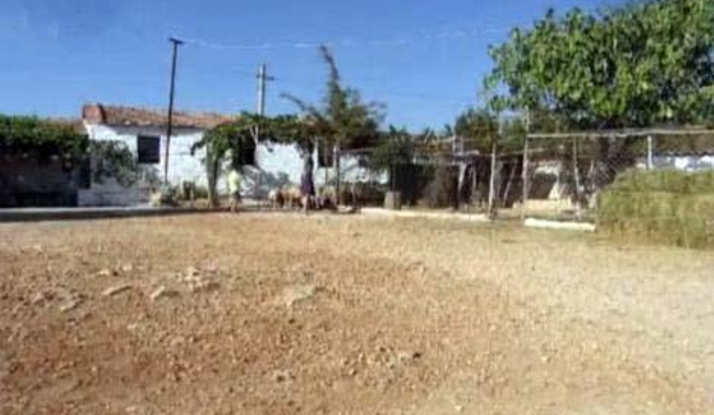 Bihter'in inanılmaz değişimi