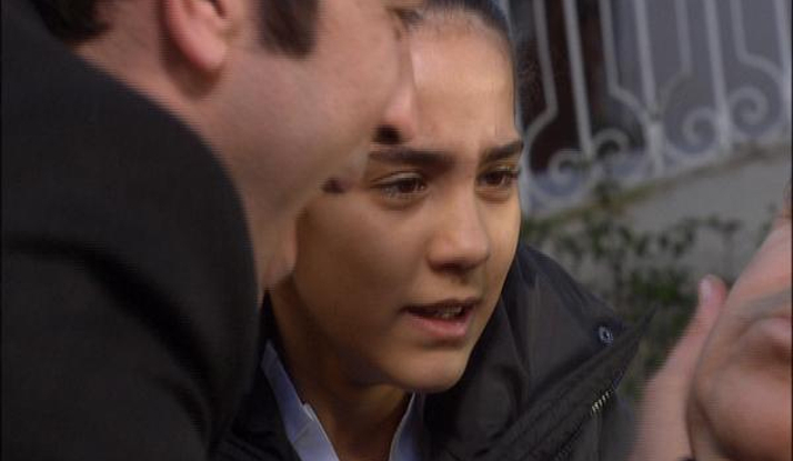 Son yaprak ; Ali Rıza Bey