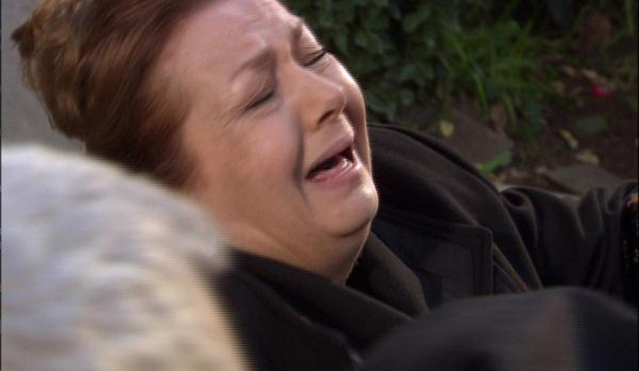 Son yaprak ; Ali Rıza Bey