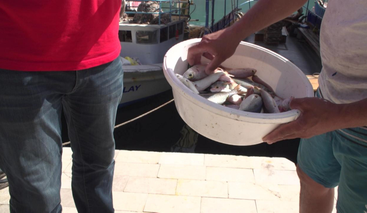 Rehber 13. Bölüm Foto Galeri