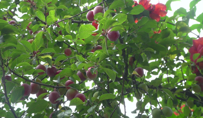 Rehber 18. Bölüm Foto Galeri