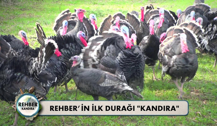 Rehber 31. Bölüm Foto Galeri