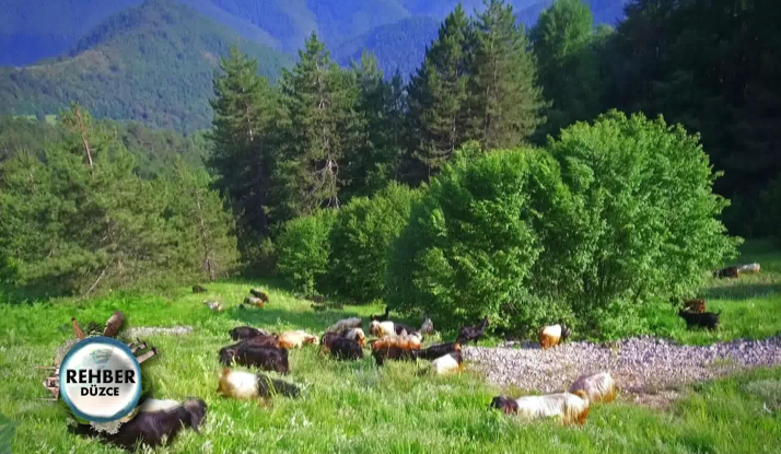 Rehber 41. Bölüm Foto Galeri