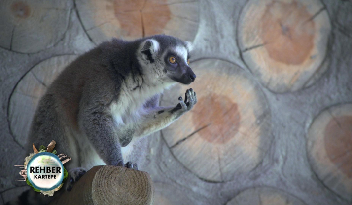 Rehber 42. Bölüm Foto Galeri