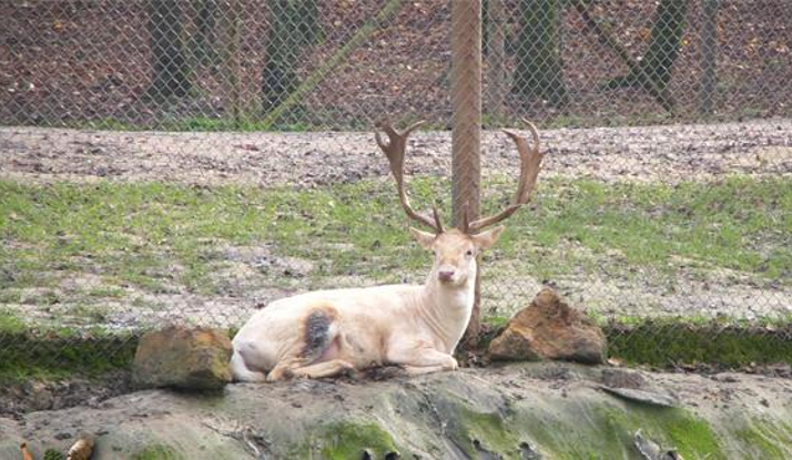 Rehber 42. Bölüm Foto Galeri