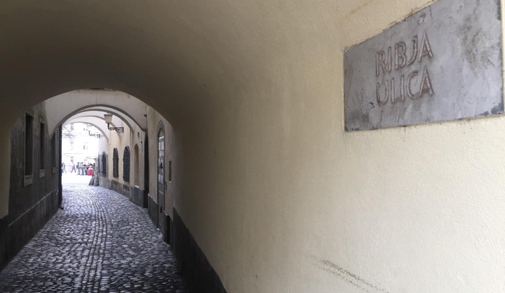 SLOVENYA Foto Galeri