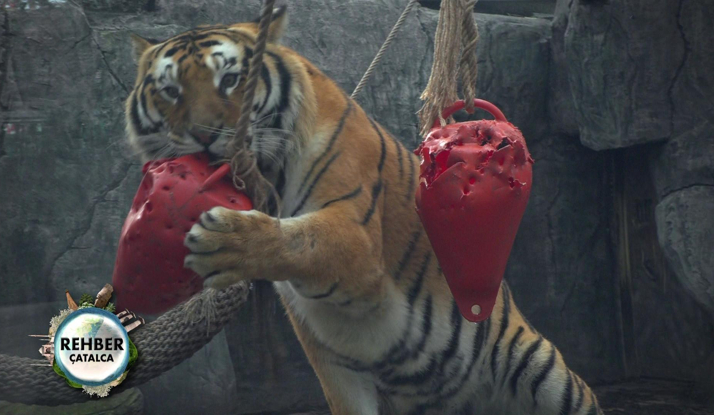 Rehber 49. Bölüm Foto Galeri