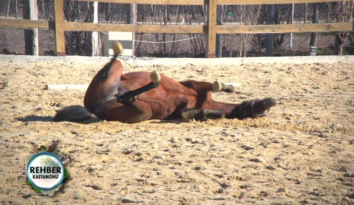 Rehber 50. Bölüm Foto Galeri