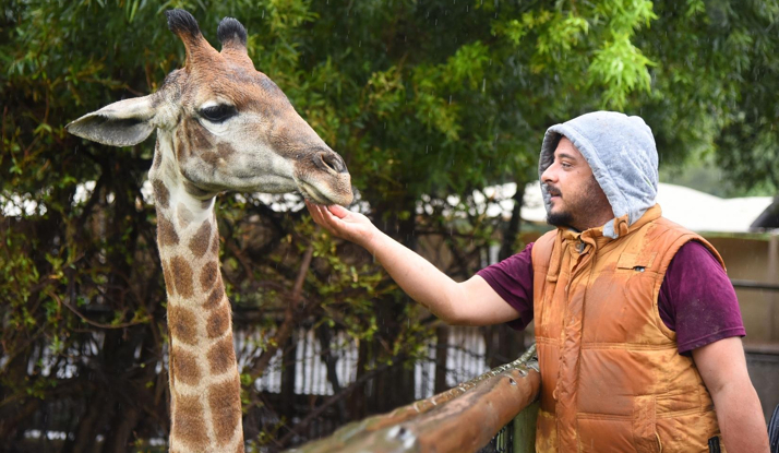 GÜNEY AFRİKA - Johannesburg Foto Galeri 